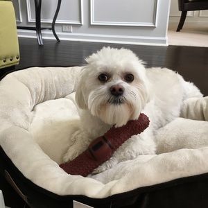 Meet your Posher, Thomas